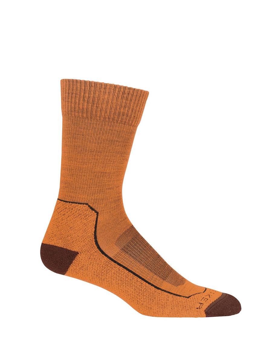 Women's Icebreaker Merino Hike+ Light Crew Socks Flash / Espresso | CA 1523QMAZ